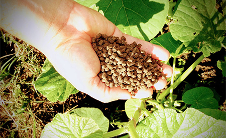 fertilizante orgânico